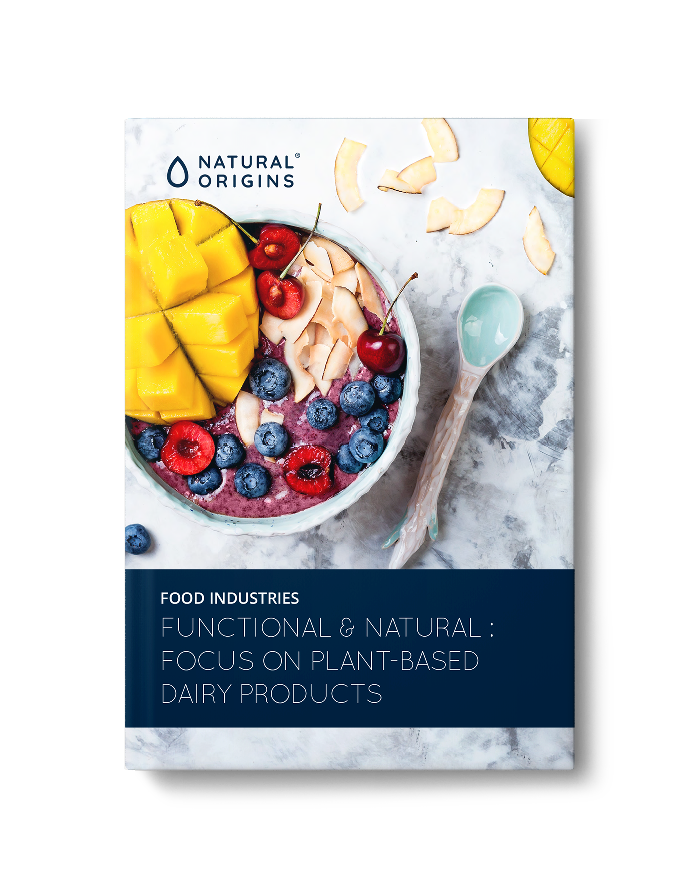 NO-guide-AlternativesAuxProduitsLaitiers-cover-EN-221004