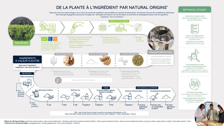 De la plante à lingrédient par Natural Origins 240122 FR_page-0001