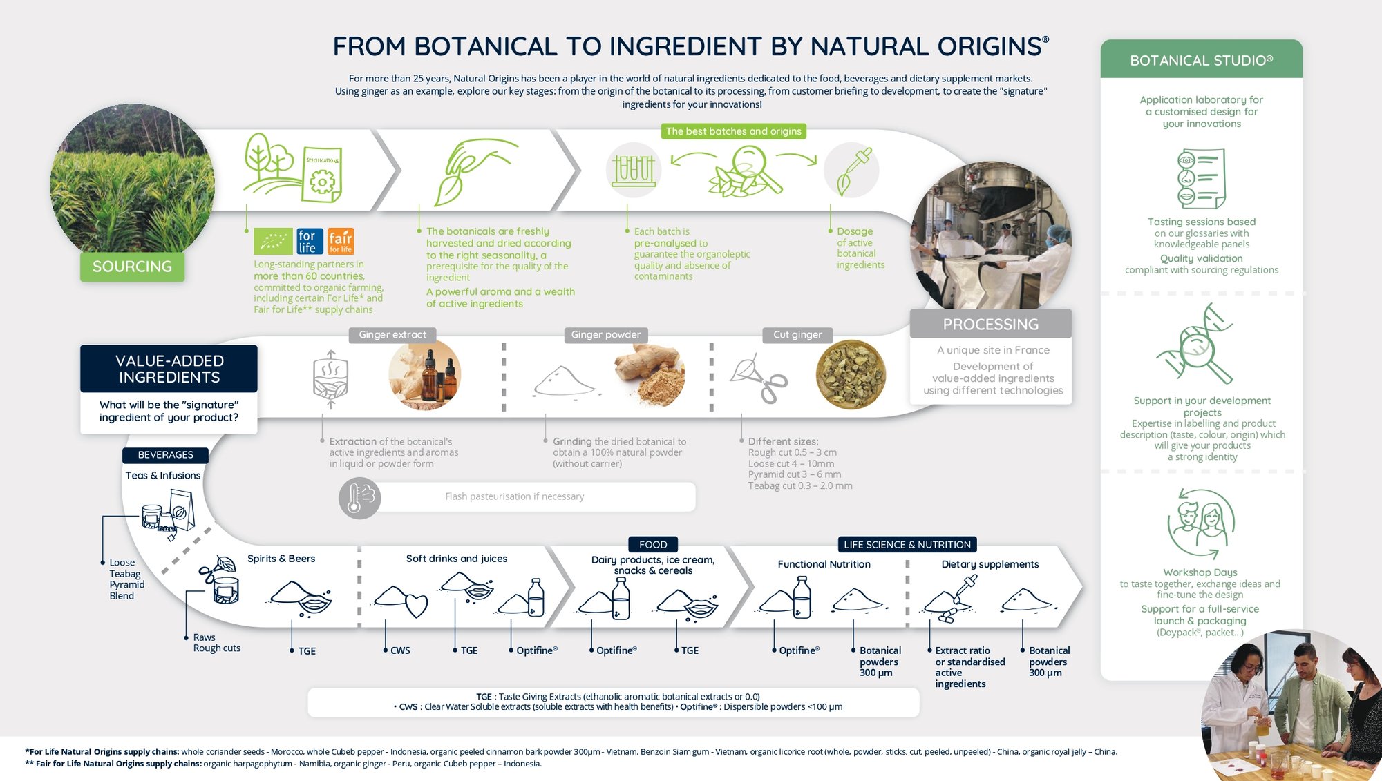 From botanical to ingredient by Natural Origins 240122 EN_page-0001