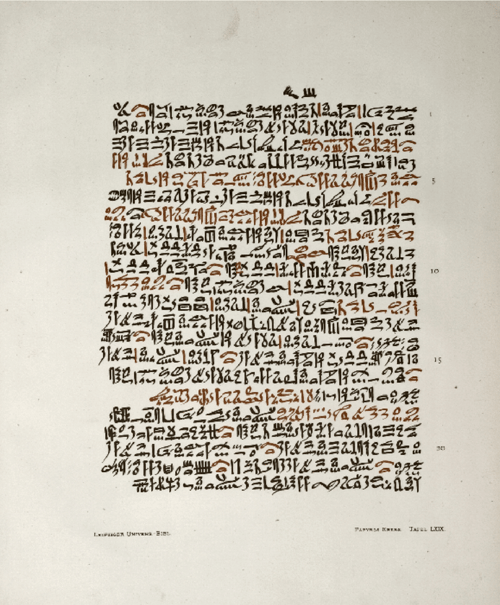 Papyrus Ebers, Leipzig University