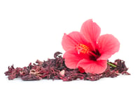 hibiscus