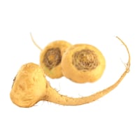 maca-tuber-mynaturalorigins