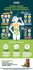 infographic natural ingredients with health benefits