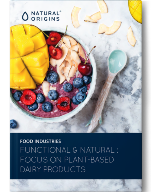 Plant-based dairy products ebook