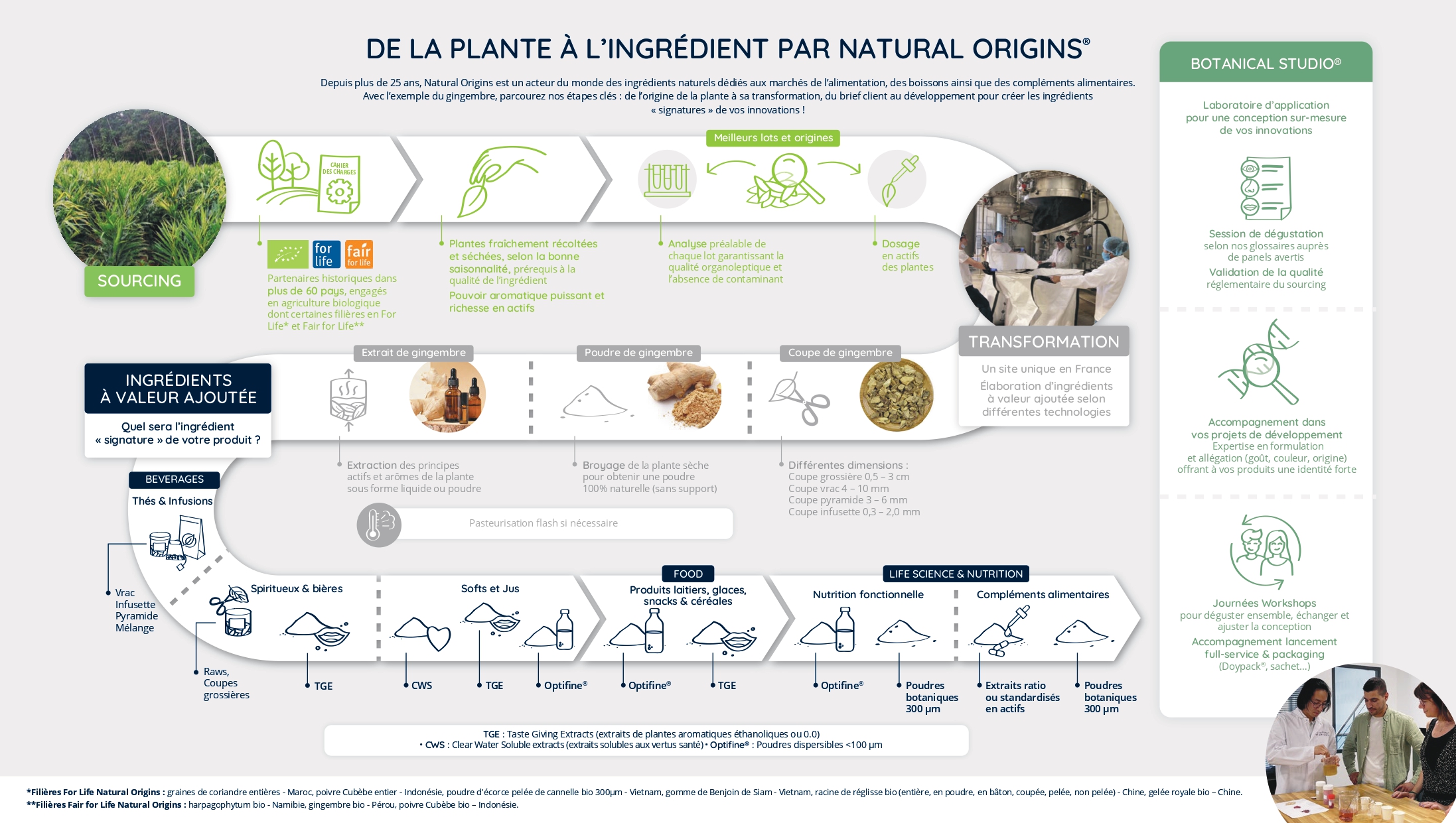 De la plante à l'ingrédient par Natural Origins