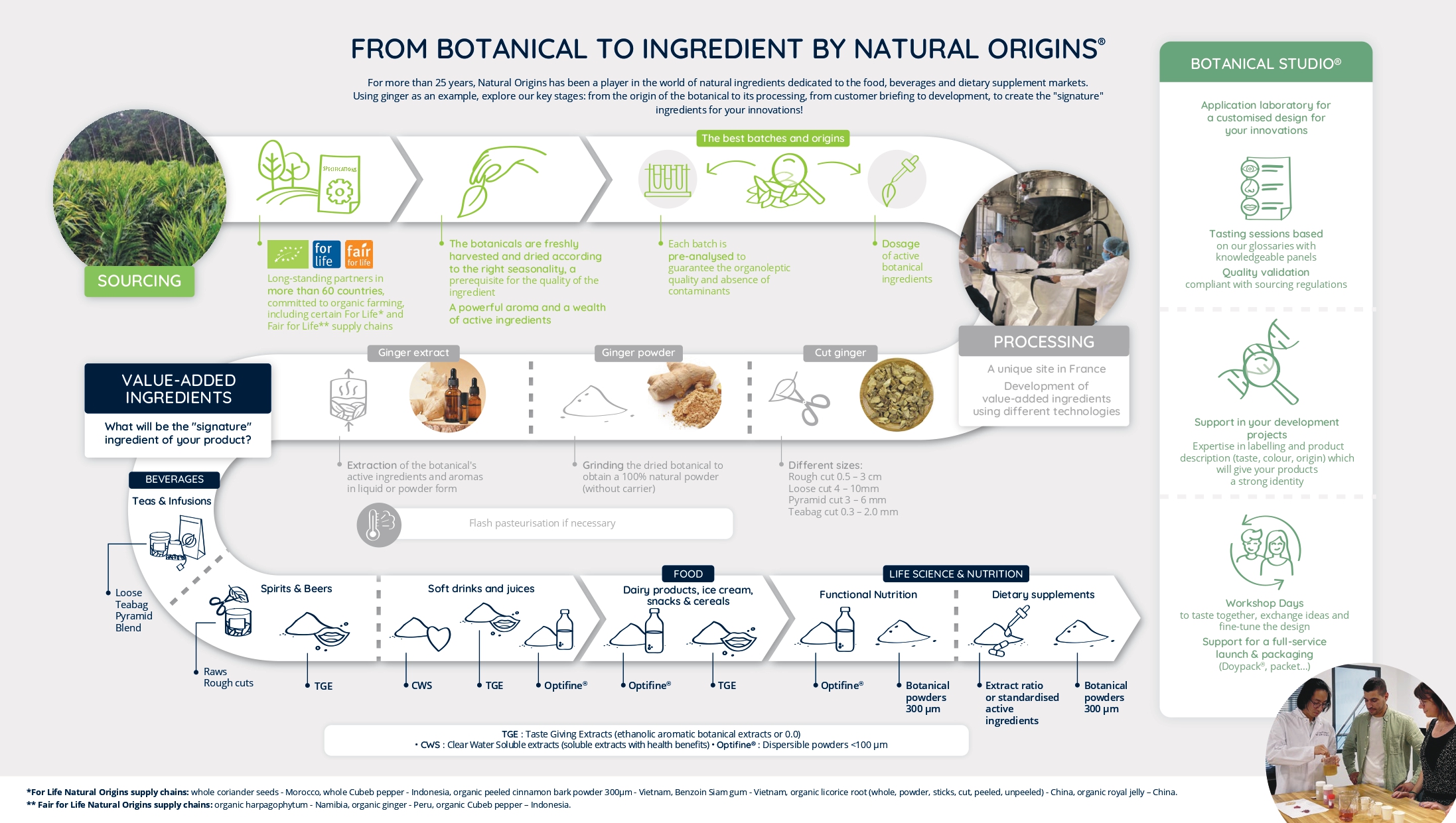 From botanical to ingredient by Natural Origins