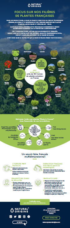 Infographie - Focus sur nos filières de plantes françaises