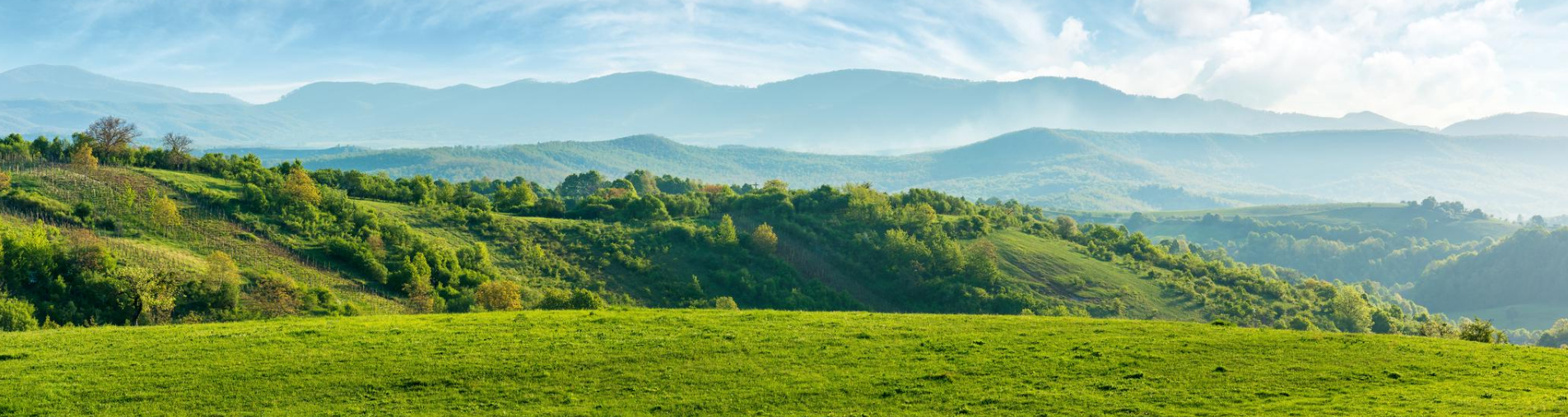 Les résultats de l’analyse de l’empreinte carbone de Natural Origins et les préconisations