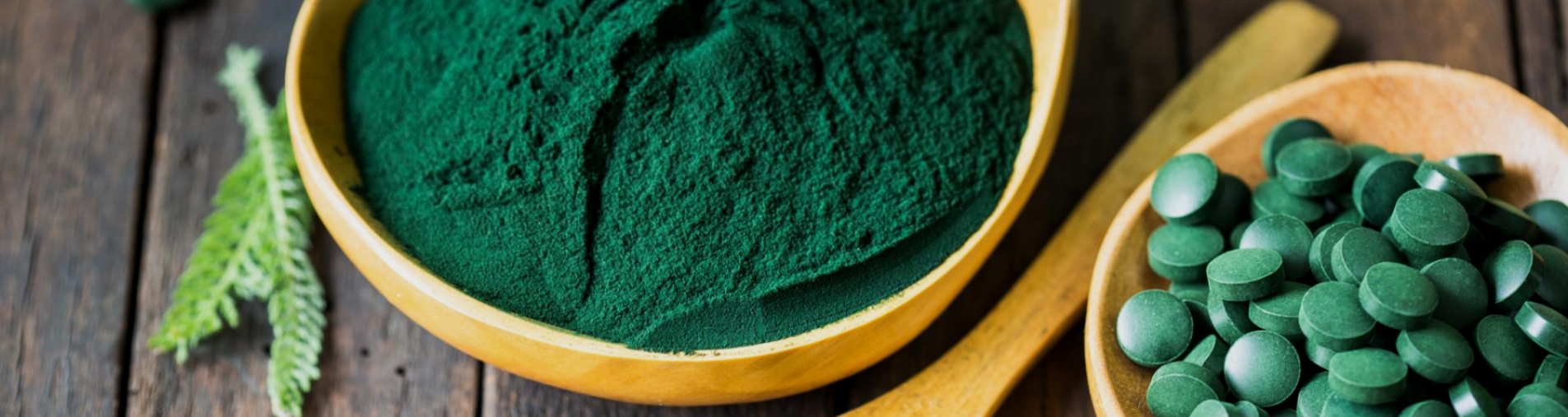 Chlorelle chlorella vulgaris, une algue fascinante, durable et prometteuse…