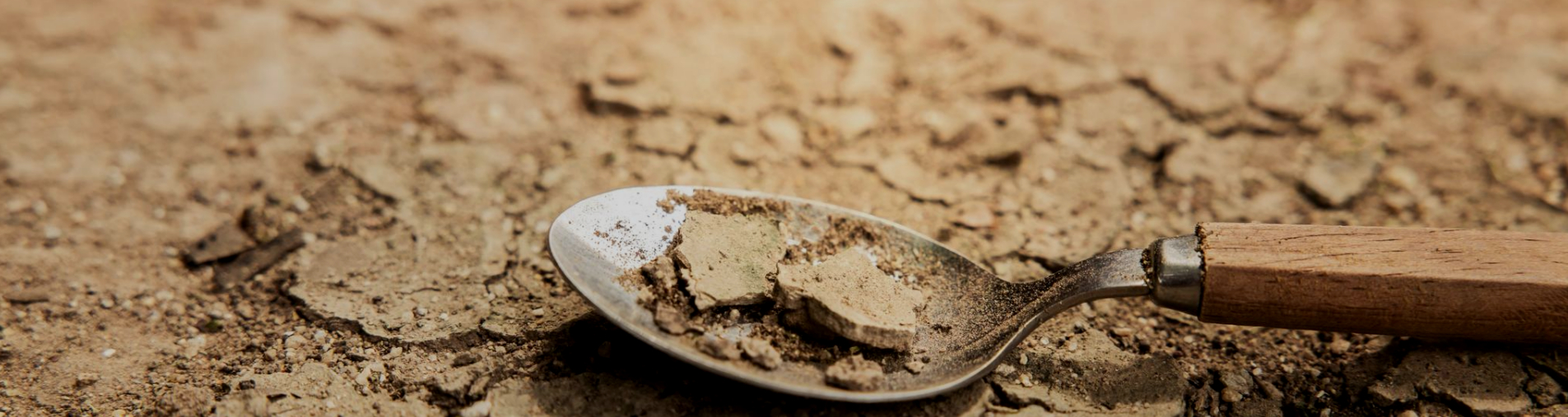 La prise de conscience des limites de notre système alimentaire