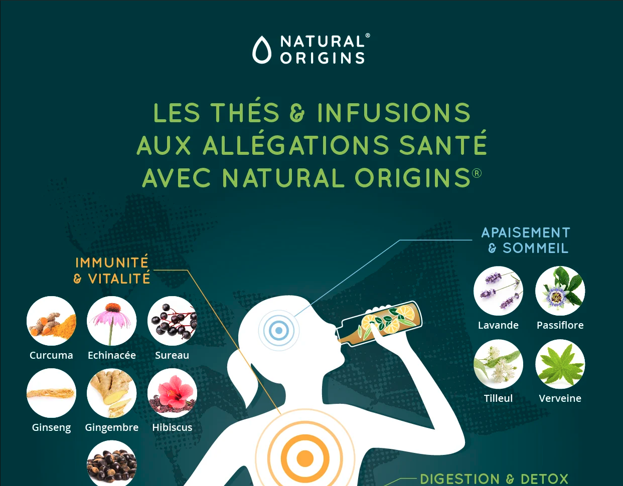  infographie des thés et infusions aux allégations santé de natural origins