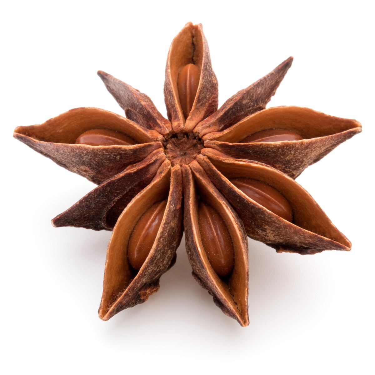 anise-fruit-mynaturalorigins