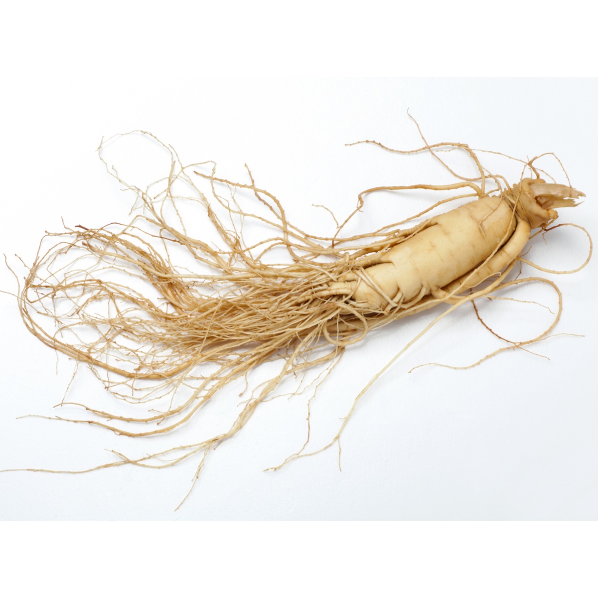 organic-white-ginseng-mynaturalorigins