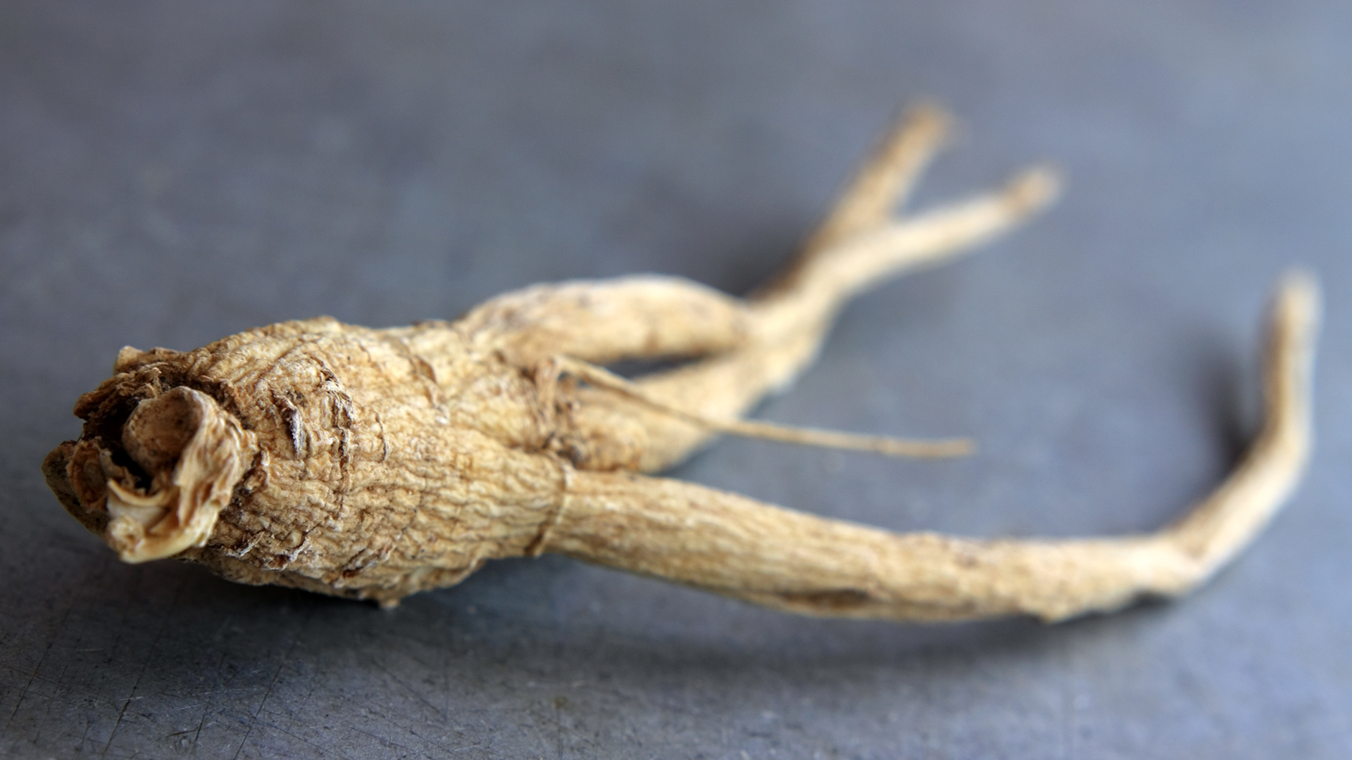 blog-ginseng-bio-natural-origins-