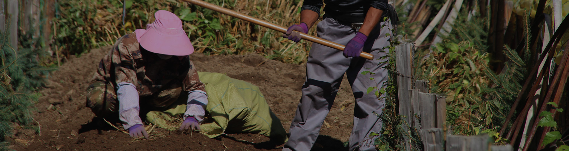 impact-de-la-saisonnalite-sur-les-matieres-premieres-vegetales