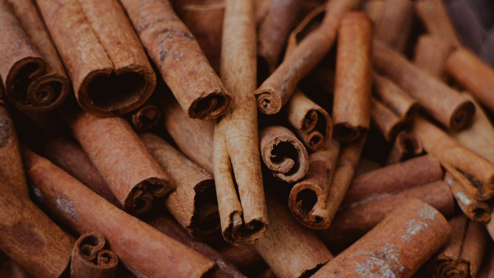 Delve into the heart of the cinnamon supply chain