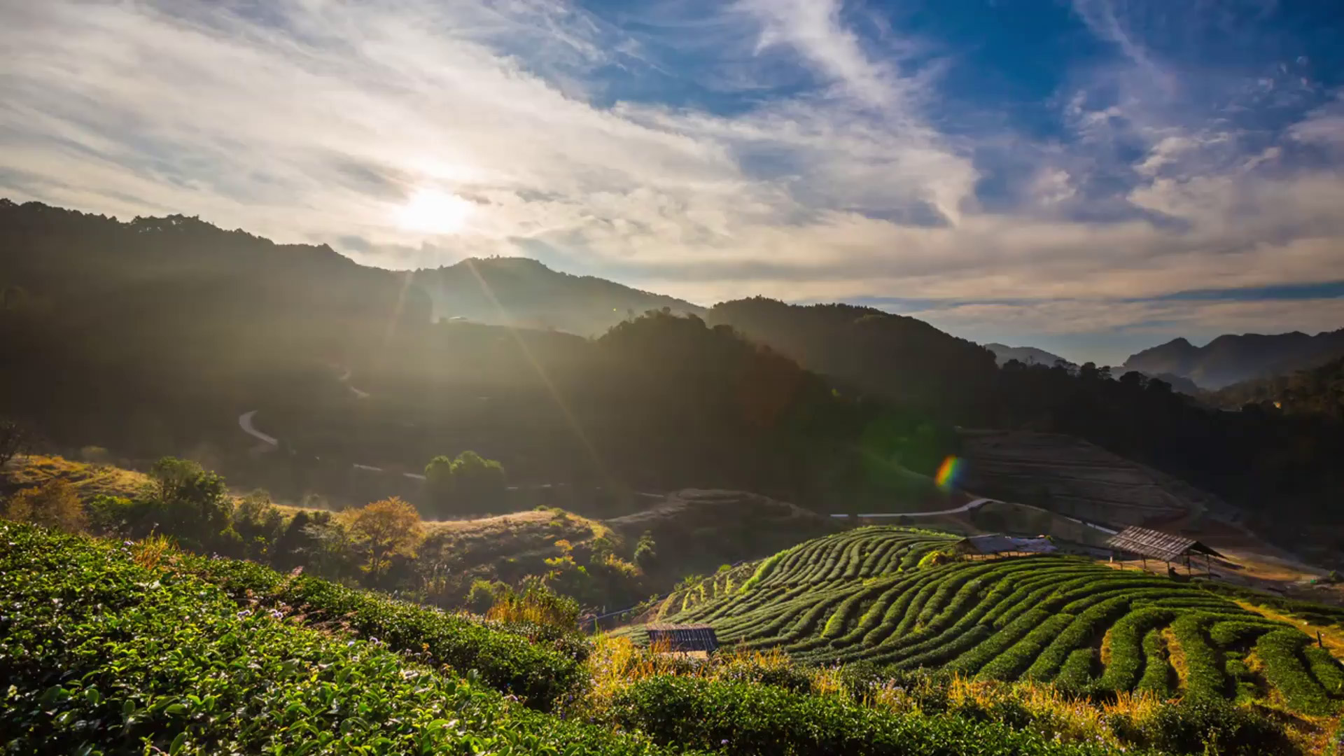 Natural Origins: your ingredient
